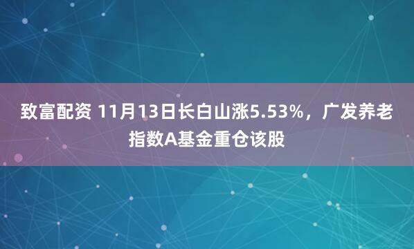 致富配资 11月13日长白山涨5.53%,广发养老指数A基金重仓该股